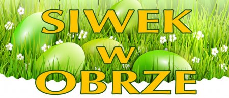 siwek_2_2025