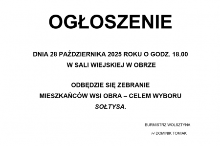 obra_wybory_2025